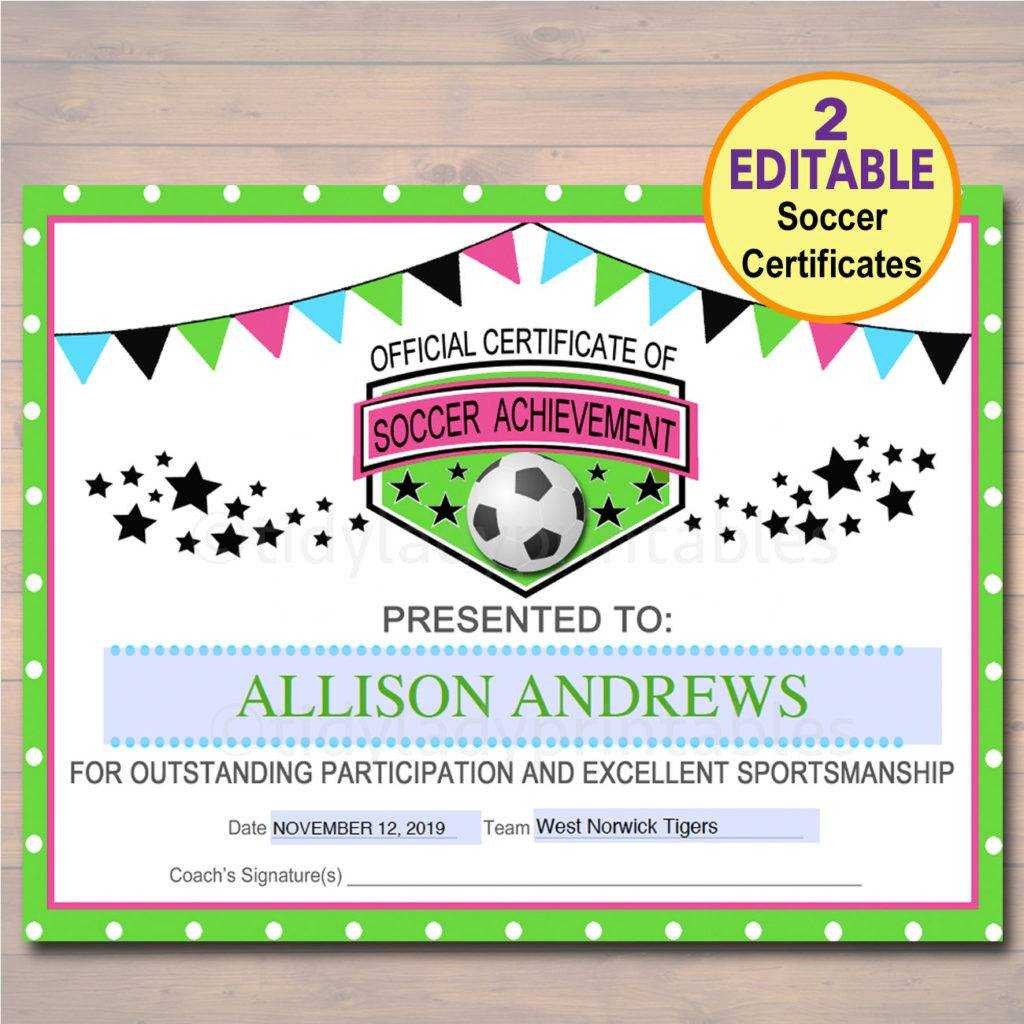 13+ Soccer Award Certificate Examples – Pdf, Psd, Ai Throughout Soccer Certificate Templates For Word