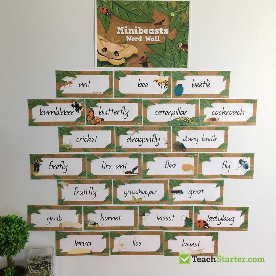 27 Practical Word Wall Ideas For The Classroom | Teach Starter For Blank Word Wall Template Free