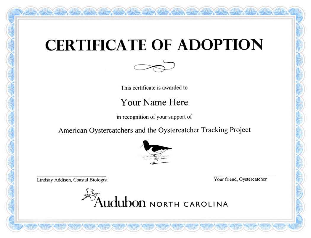 28+ [ Adoption Certificate Template ] | Adoption Certificate Pertaining To Blank Adoption Certificate Template