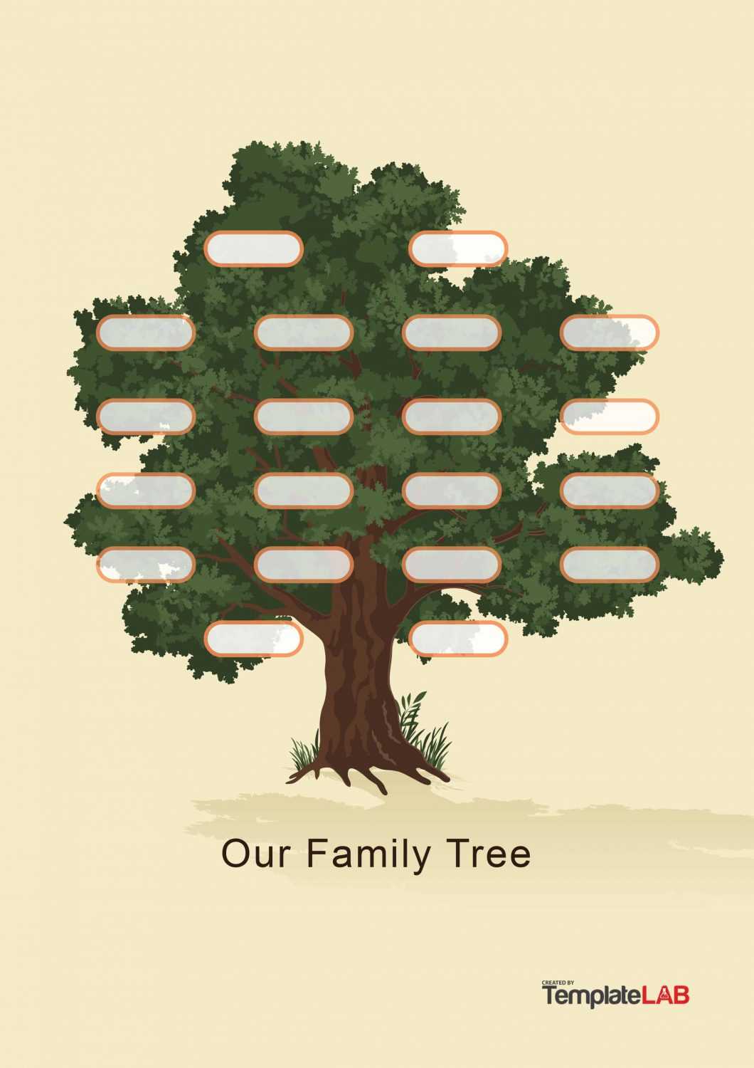 30 Free Genogram Templates & Symbols ᐅ Templatelab Within Family Genogram Template Word