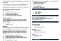 39 Effective Capability Statement Templates (+ Examples) ᐅ in Capability Statement Template Word