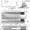 A Xylan Glucuronosyltransferase Gene Exhibits Pleiotropic With Regard To Blank Stem And Leaf Plot Template