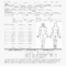 Autopsy Report Template - Calep.midnightpig.co for Autopsy Report Template