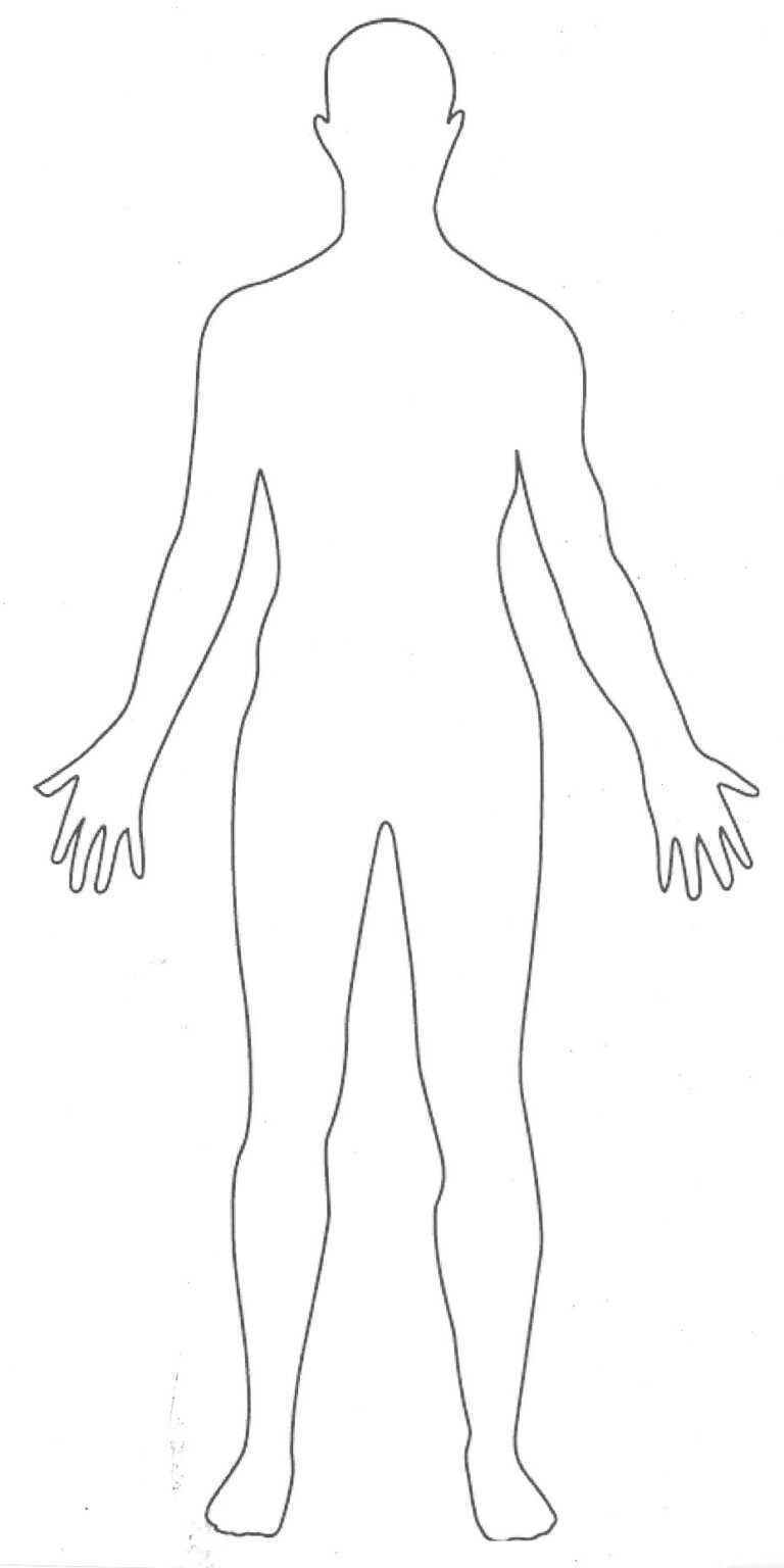 Blank Body Clipart In Blank Body Map Template Creative Sample Templates