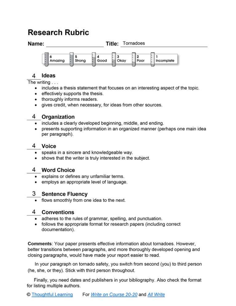 Book In A Bag Rubric With Paper Bag Book Report Template Creative