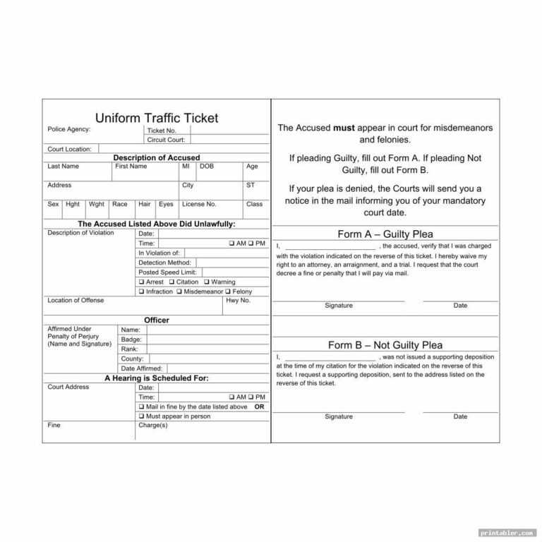 Traffic Ticket Template Fill Online, Printable, Fillable With Blank