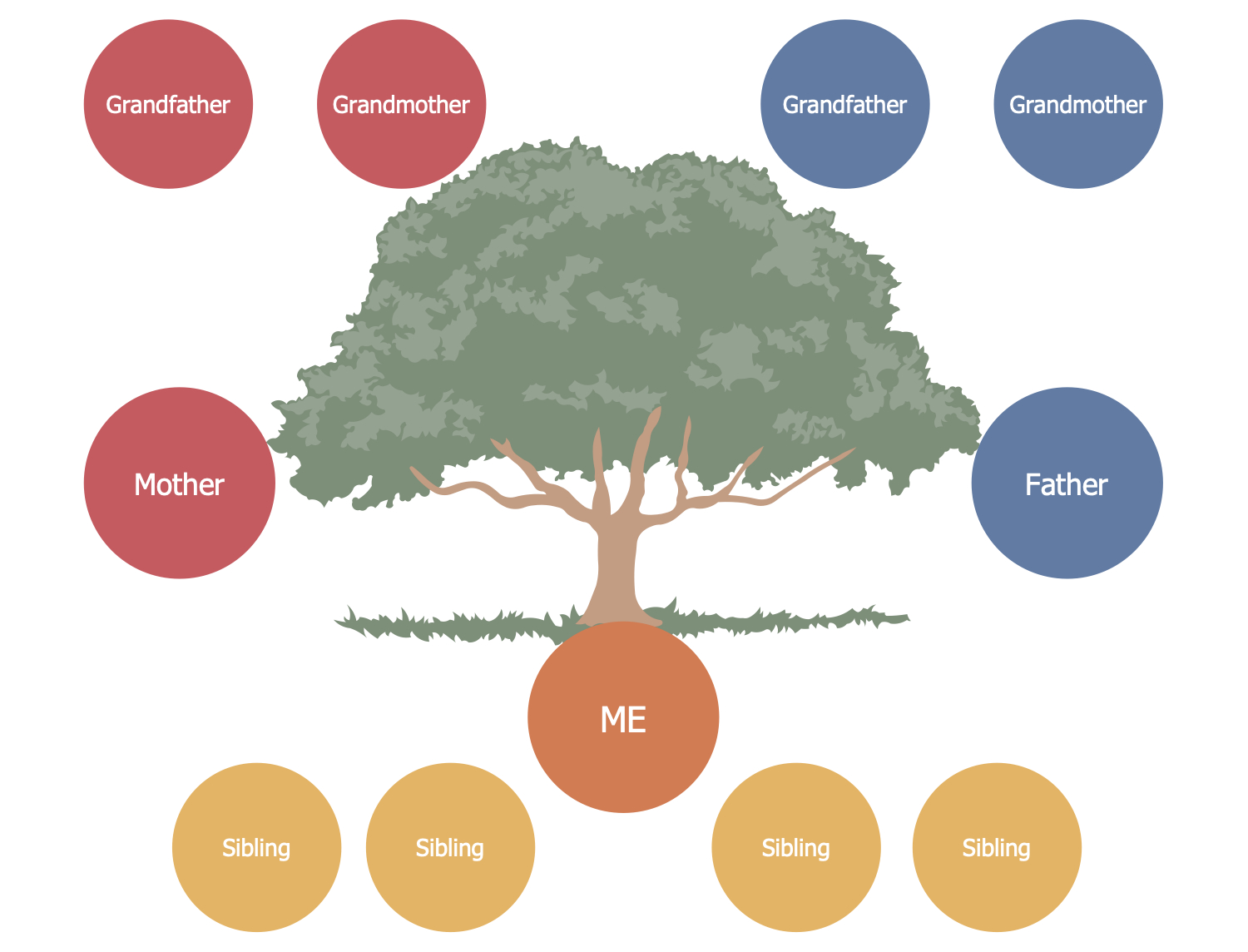 Family Tree Solution | Conceptdraw With Regard To 3 Generation Family Tree Template Word