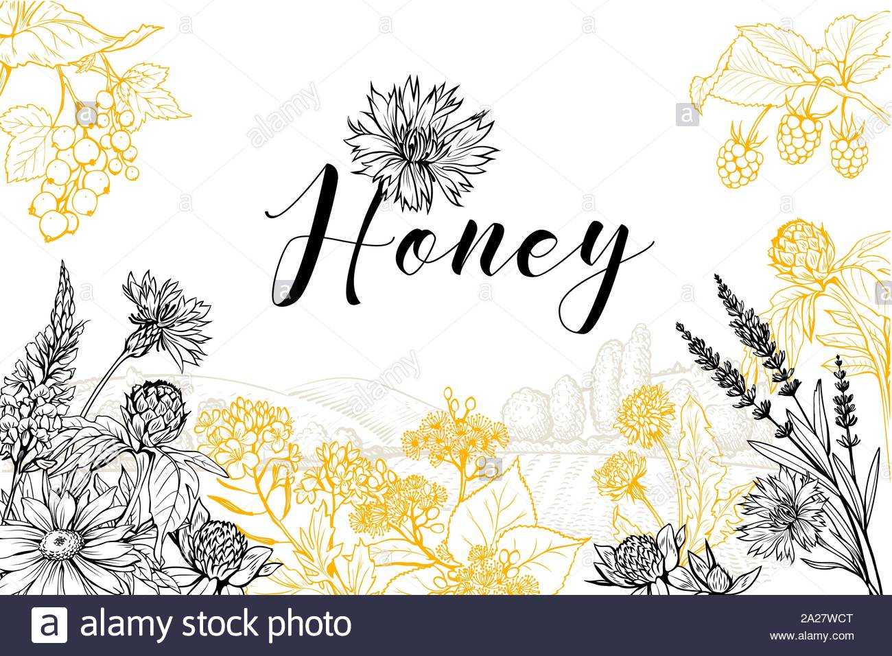 Flower Honey Vector Hand Drawn Banner Template. Natural With Homemade Banner Template