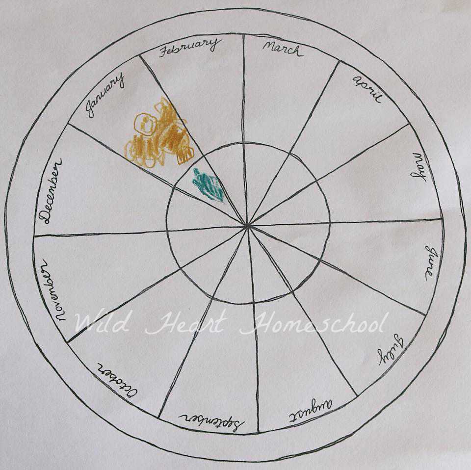 Free Phenology Wheel Template For Australia – Wild Heart For Blank Wheel Of Life Template