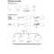 Genogram Template – 7 Free Templates In Pdf, Word, Excel Regarding Family Genogram Template Word