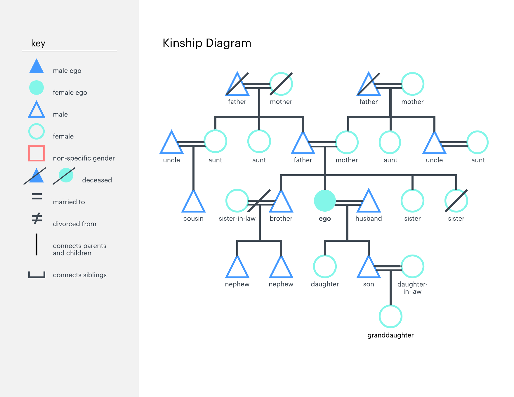 How To Make A Kinship Diagram | Lucidchart Blog In Blank Tree Diagram Template