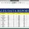 How To Make Sales Report In Excel # 26 Within Sale Report Template Excel