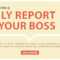 How To Write A Daily Report To Your Boss – 11+ Templates In In Daily Activity Report Template