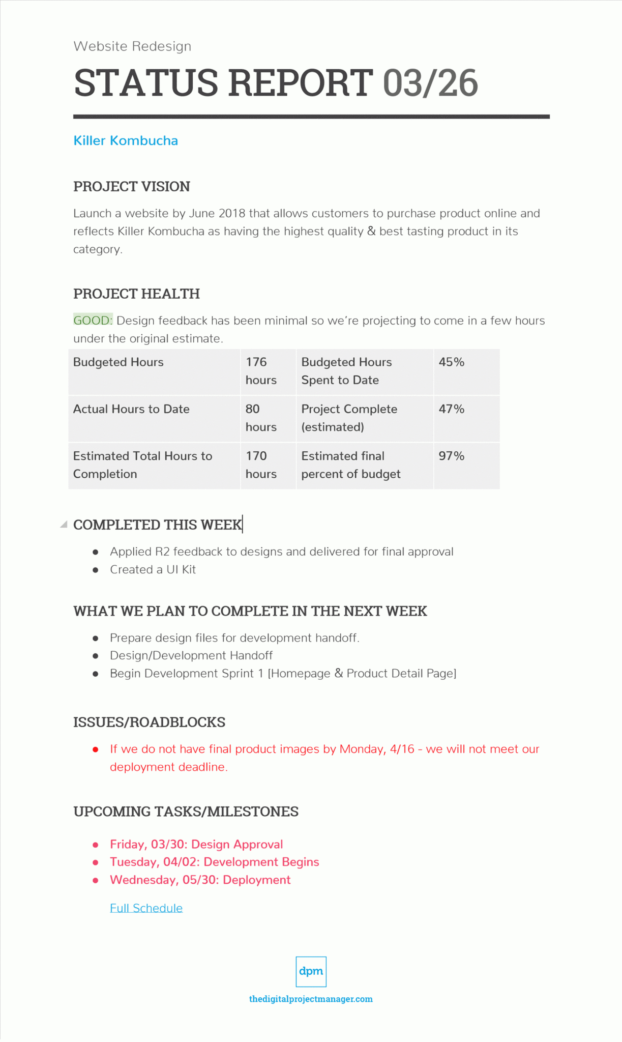 Project Management Final Report Template Creative Sample Templates