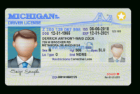 Michigan Driver License Psd Template regarding Blank Drivers License Template