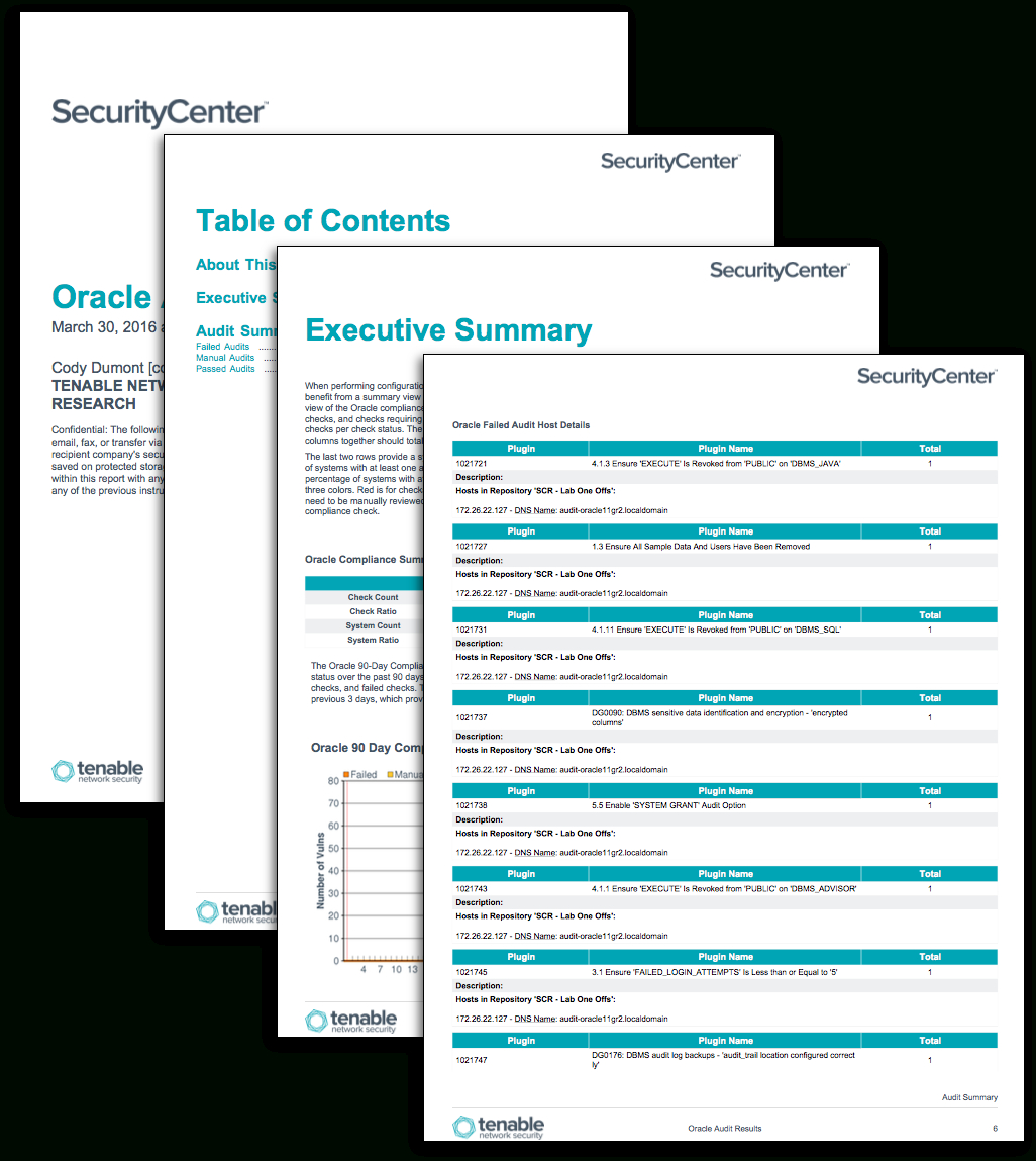 Oracle Audit Results – Sc Report Template | Tenable® In Threat Assessment Report Template