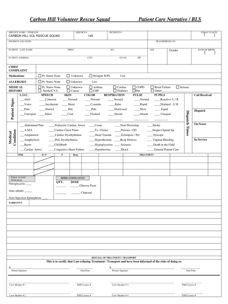 Patient Report Template – Calep.midnightpig.co In Patient Care Report Template