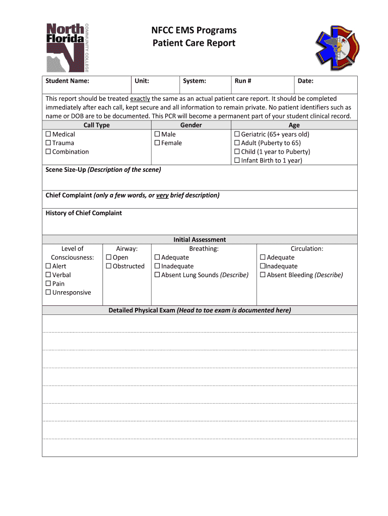 Patient Report Template – Calep.midnightpig.co Inside Patient Care Report Template