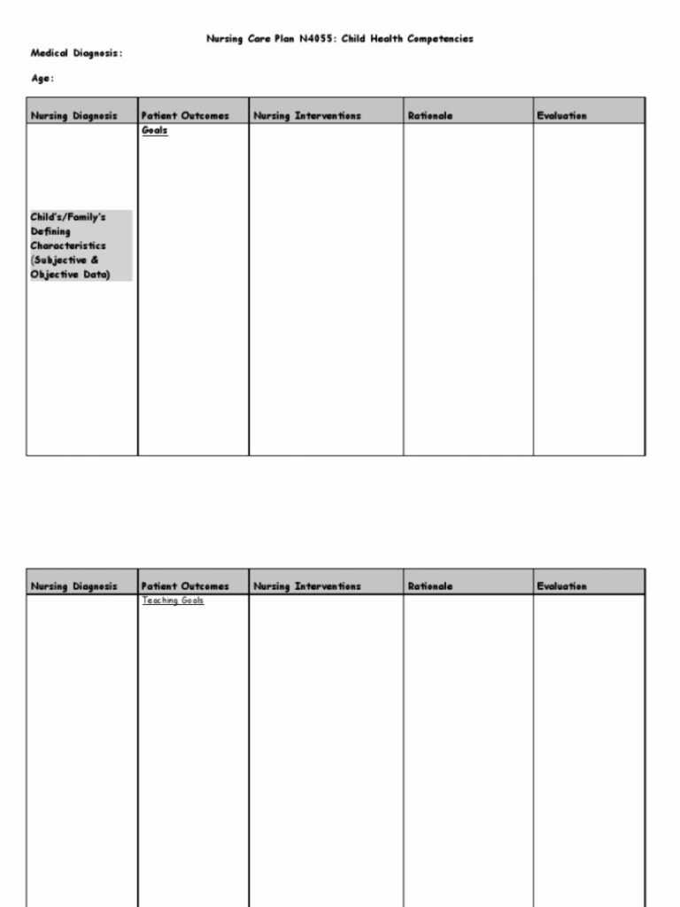 Plan Of Care Template – Dalep.midnightpig.co intended for Nursing Care ...