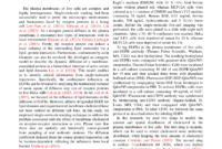 Sage - Sage Open Template for Academic Journal Template Word