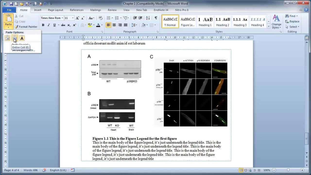 Thesis Writing In Microsoft Word : Inserting Figures And Legends Regarding Ms Word Thesis Template